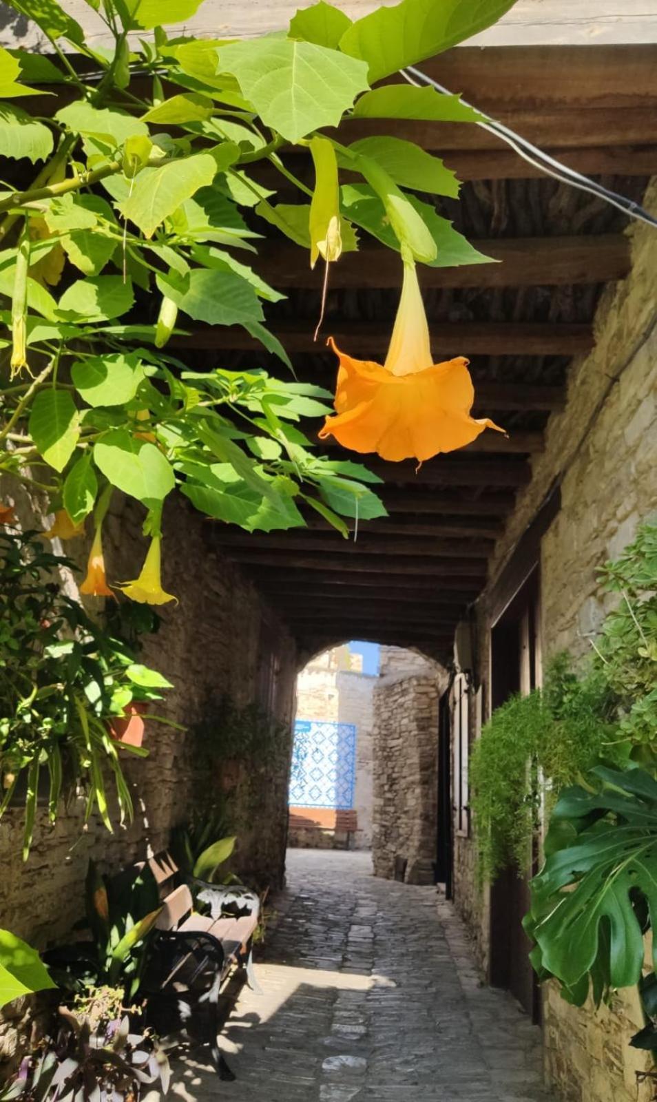 7Kamares Lefkara Exterior foto